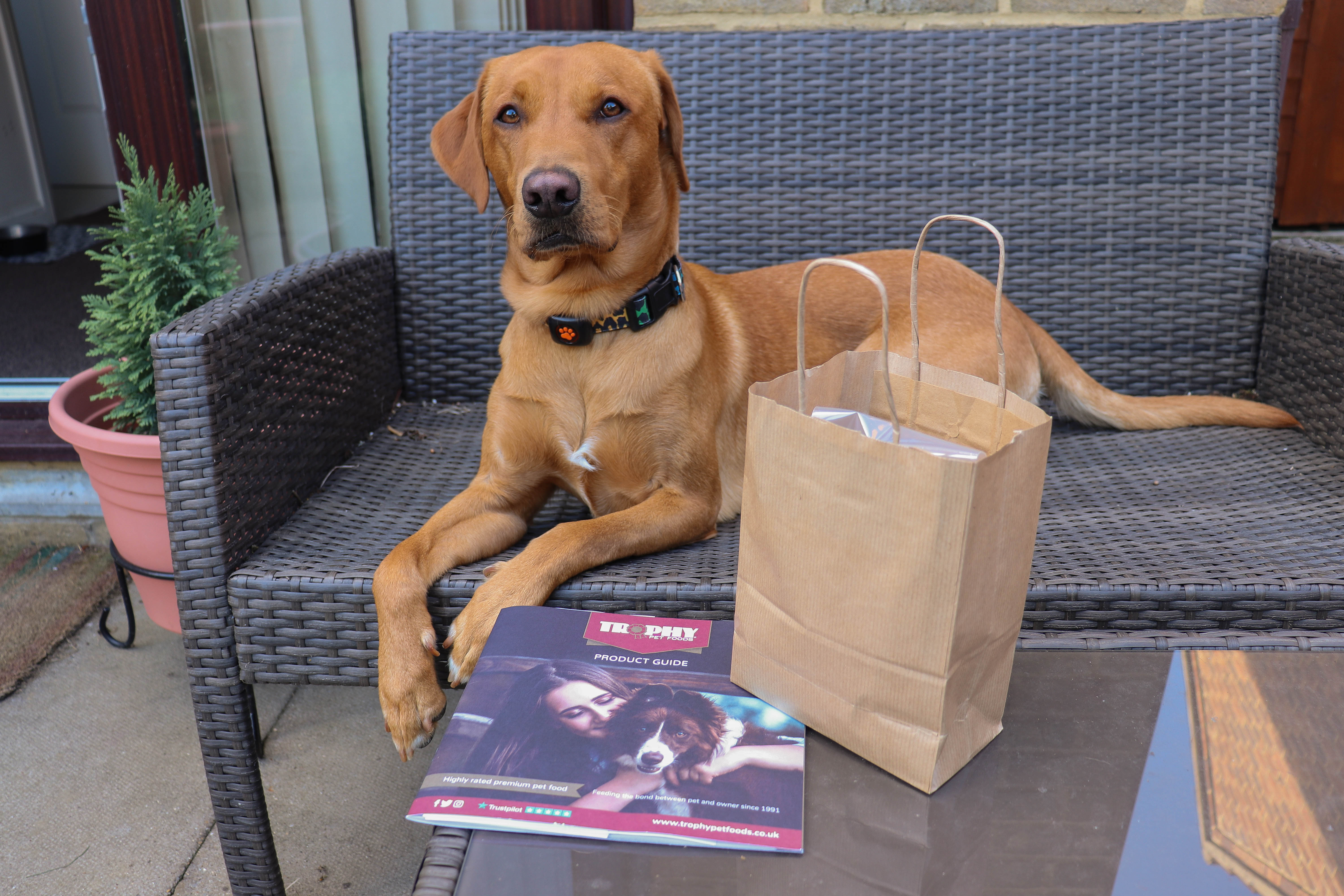 Trophy Pet Foods Review ☆ Life with Rusty