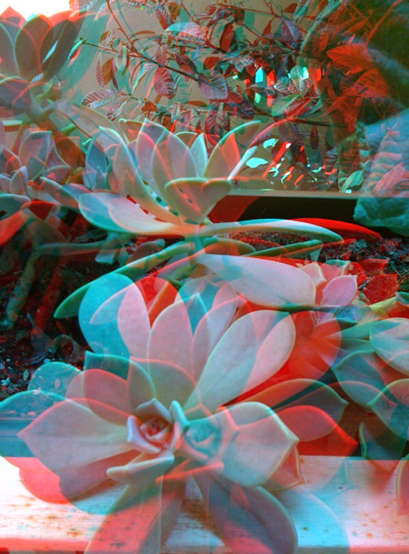 primeras fotos en 3D estereoscópico