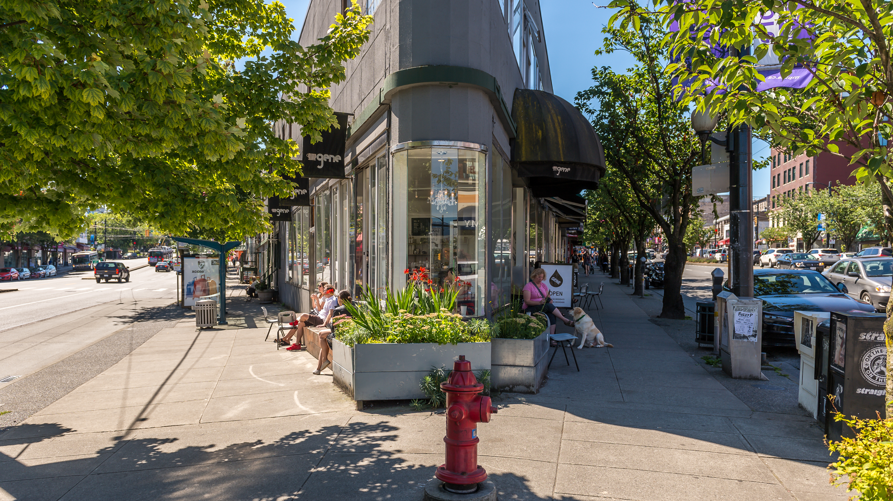 East Vancouver Realtor Ruth and David Real Estates