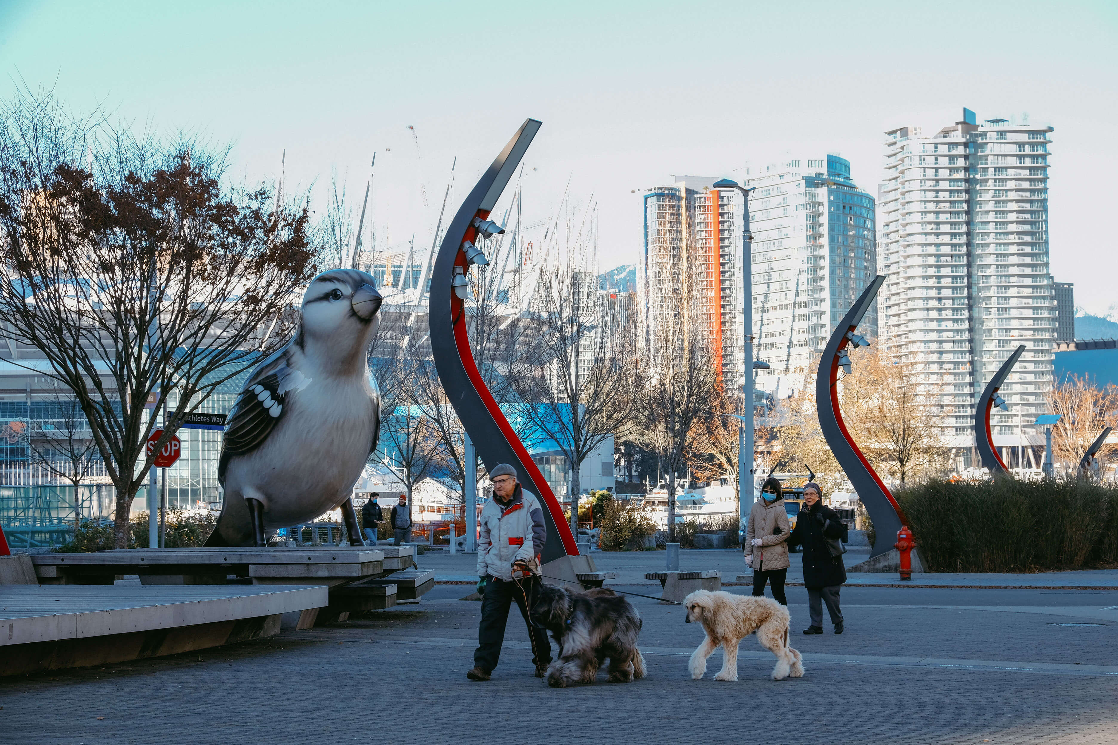 What does ending the "no pets" clause mean for Vancouver landlords?