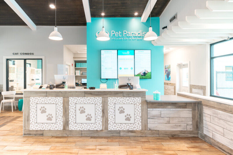 Pet Paradise Opens First Tennessee Location Rutherford Source