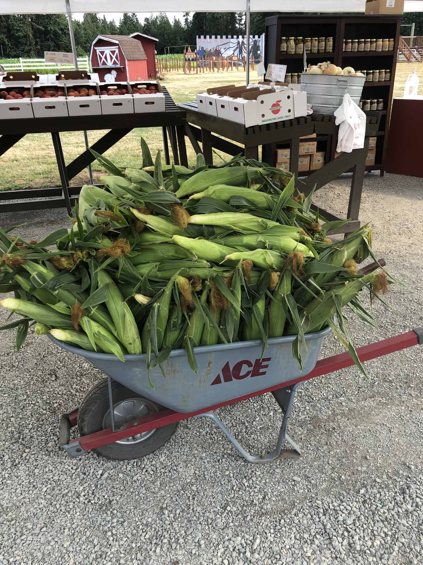 Produce Stand Rutledge Family Farm