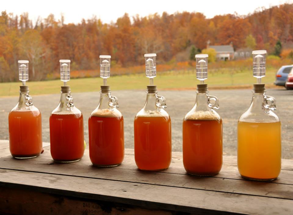 A guide to Virginia Cider Week events in RVA RVA Mag