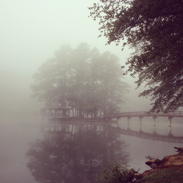 Picture of the day fog over Westhampton Lake