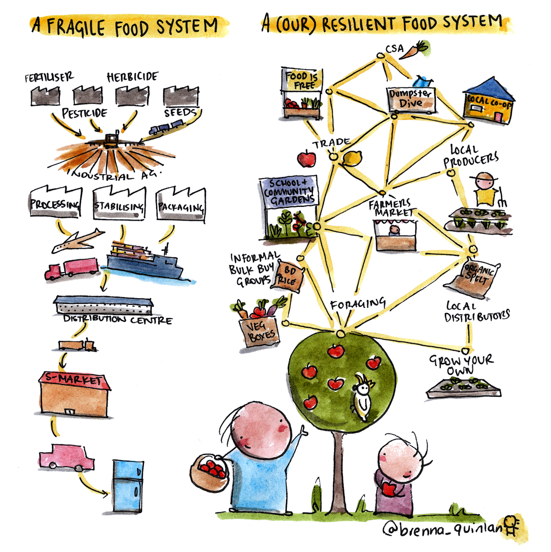 What is a Food System? Rogue Valley Food System Network(03)