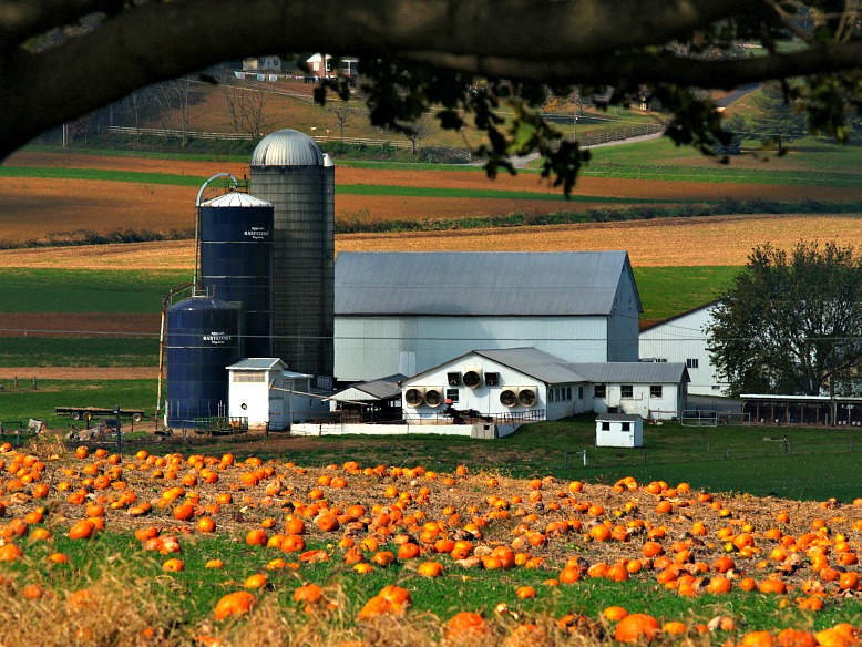 24 Photos That Prove Fall Is the Best Season Ever RVing with Rex