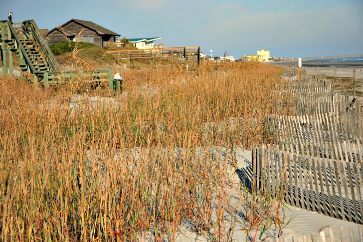 Why You Need to RV in the South This Winter RVing with Rex