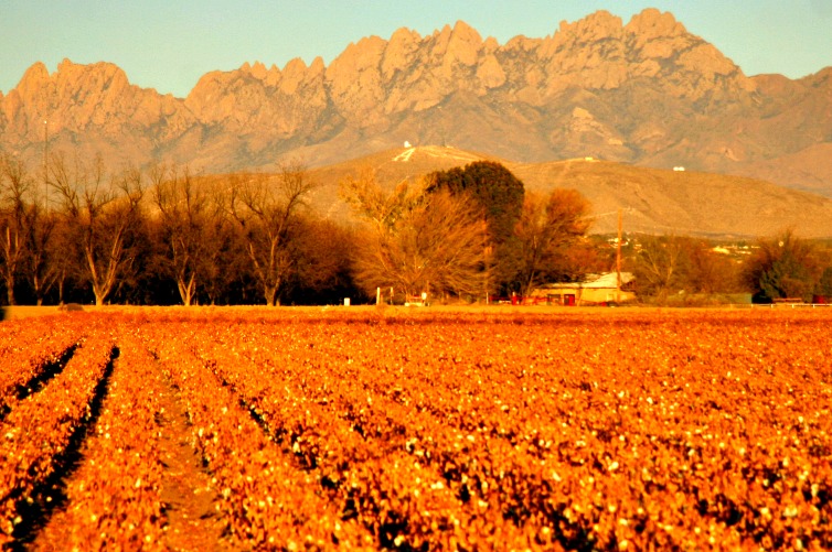 Las Cruces Outdoor Adventure & Rich History RVing with Rex