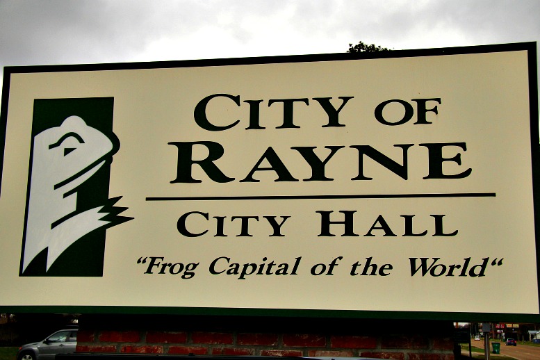 How Rayne became Frog Capital RVing with Rex