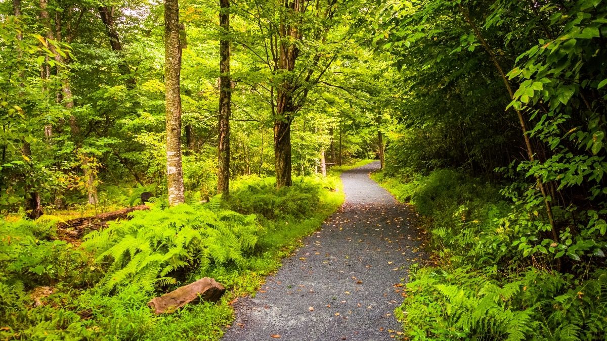 9 Best Wheelchair Accessible National Parks RV Lifestyle