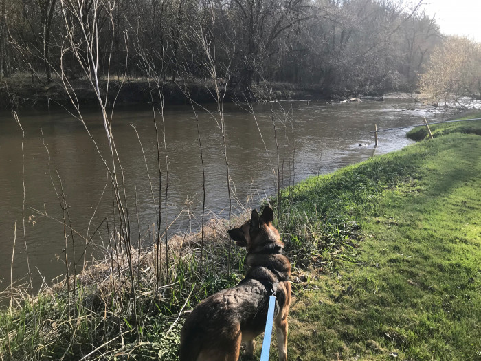 Hidden Meadows RV Park Pine Island, MN Campground Reviews