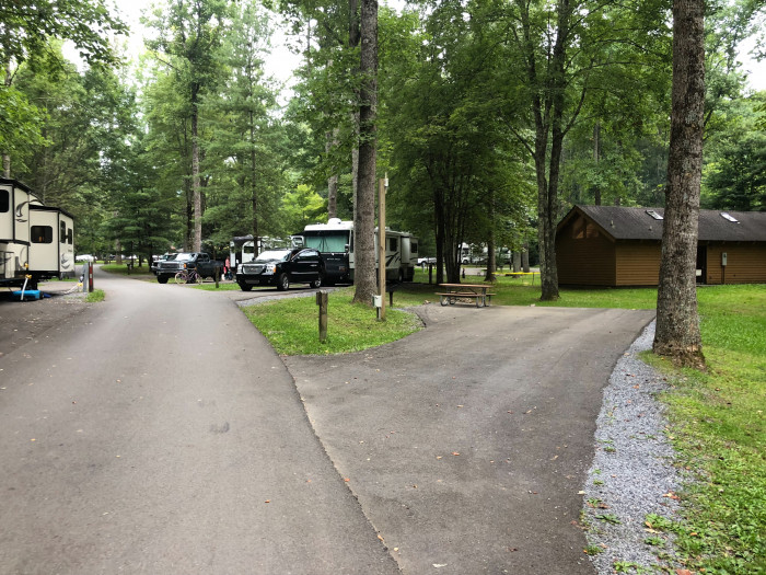 Roan Mountain State Park Roan Mountain, TN Campground Reviews