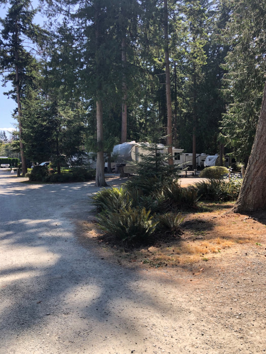 Pioneer Trails RV Park Anacortes, WA Campground Reviews