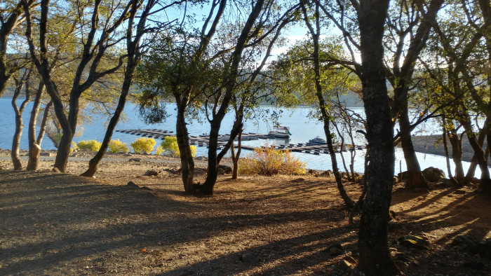 Collins Lake Recreation Area Browns Valley, CA Campground Reviews