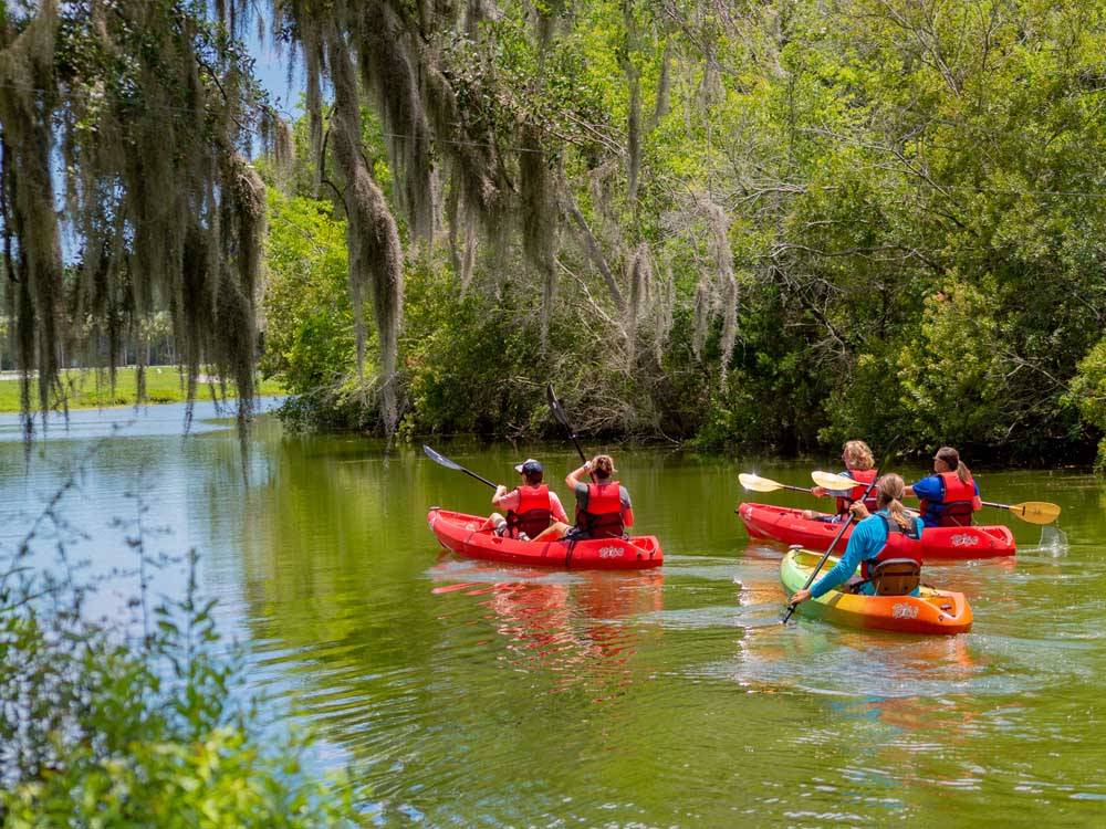 Forest River Owners' Group (FROG) Holiday Festival of Lights RV Rally Hub