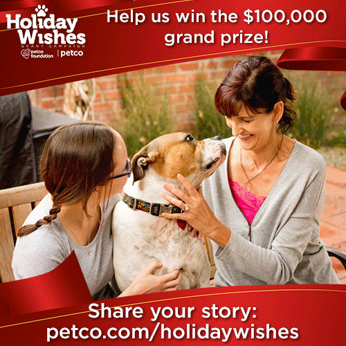 awo_gif_frames Roanoke Valley Society for the Prevention