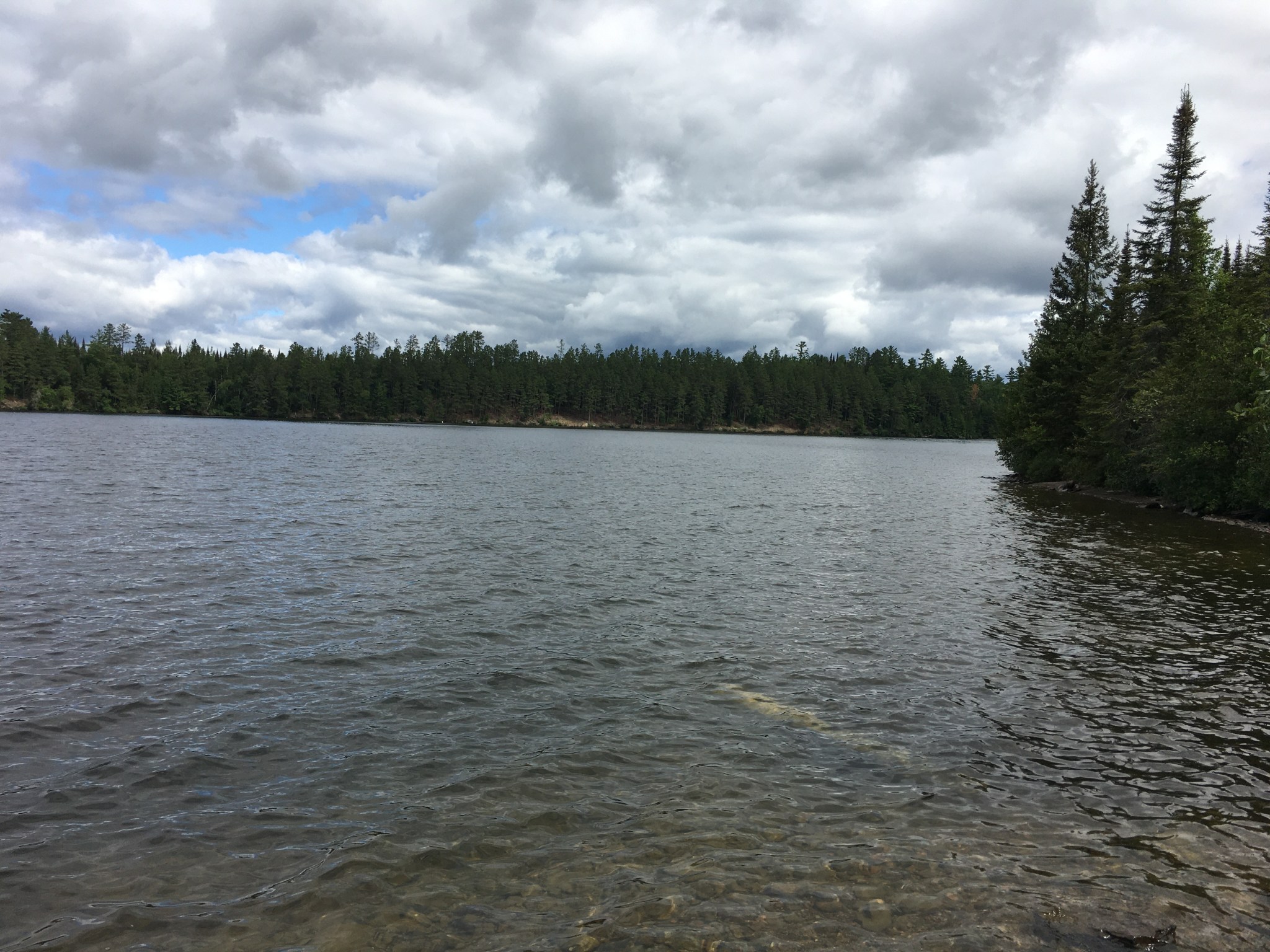Is there a moose in Ely, MN? RV State Trekking