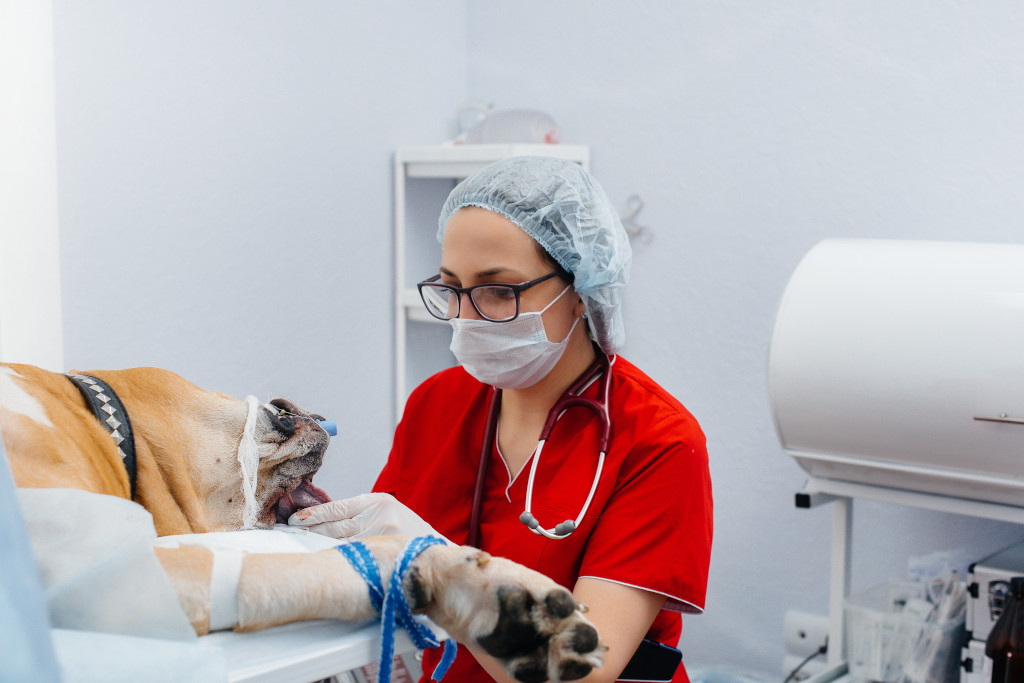 an RVT RVT Career Navigator