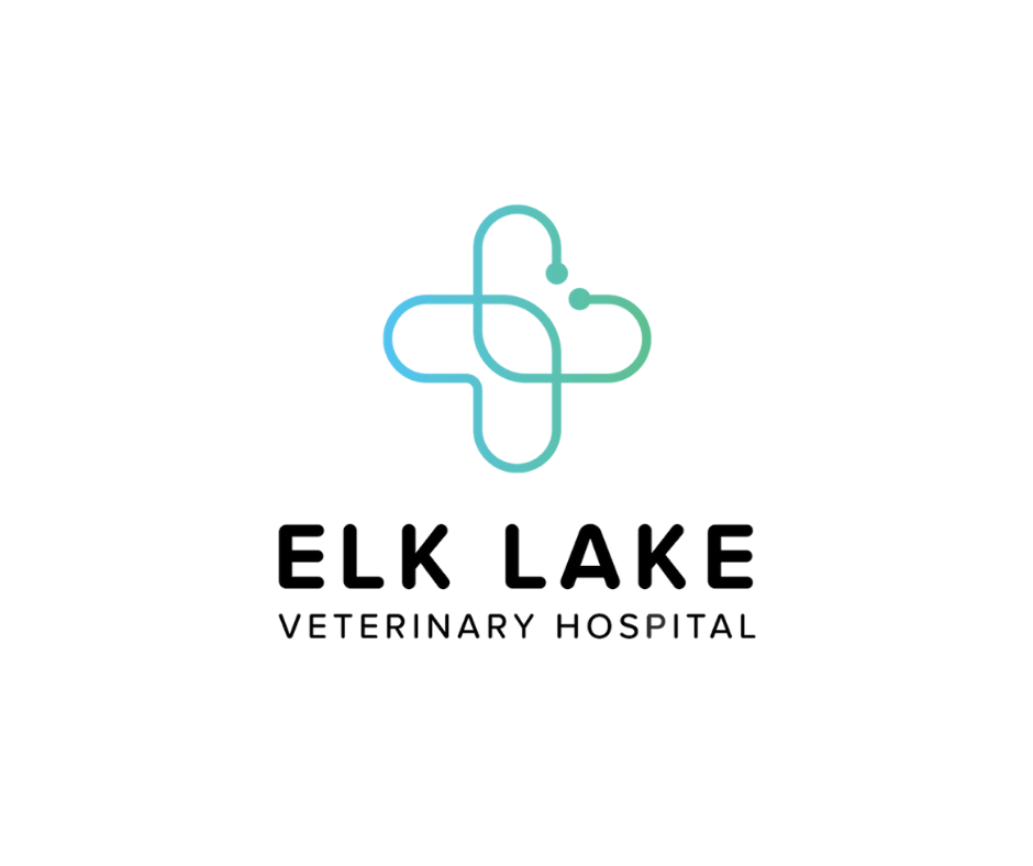 RVTTCTTVAC Full Time Registered Veterinary Technician Victoria, BC