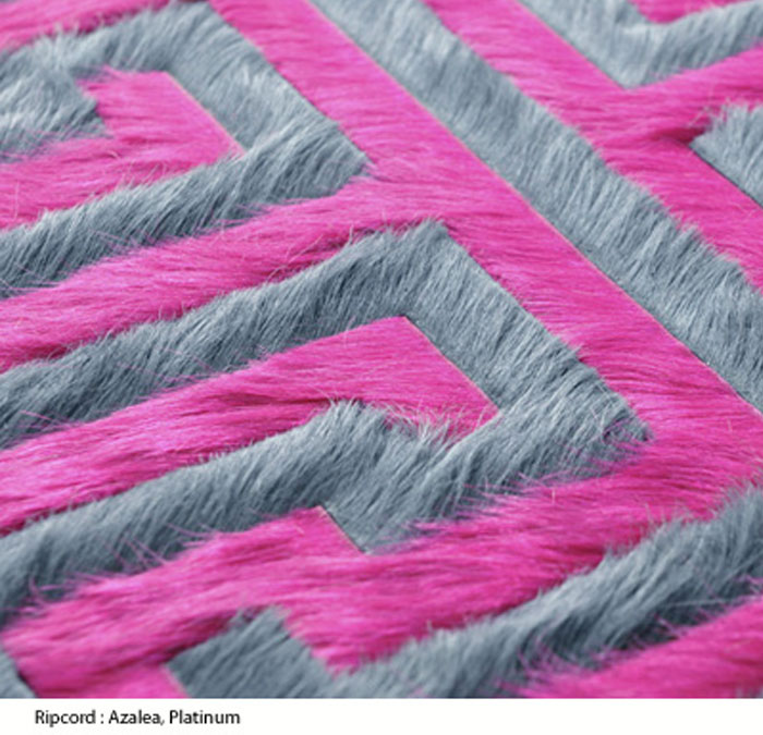 Chaps My Hide Rebecca Ward Design