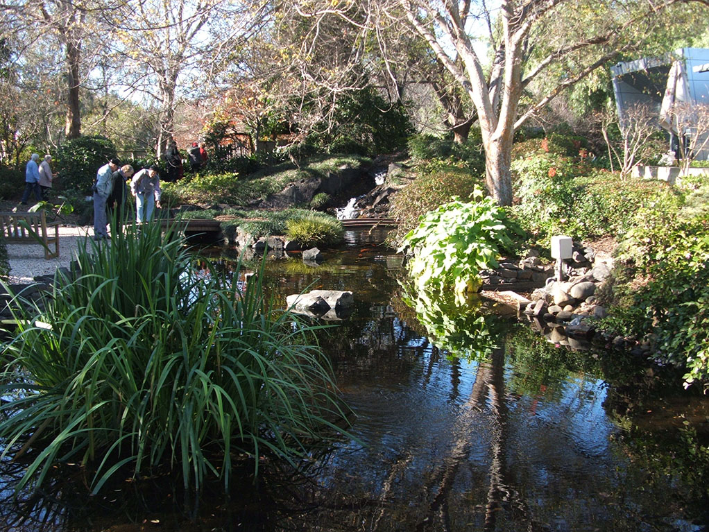 Campbelltown City Park