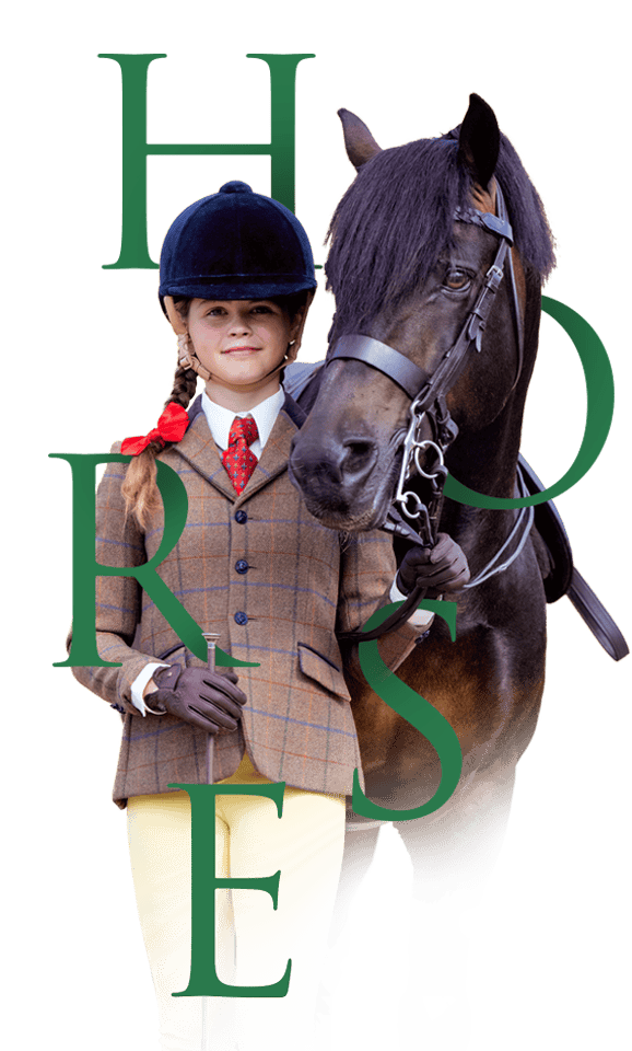 Royal Windsor Horse Show