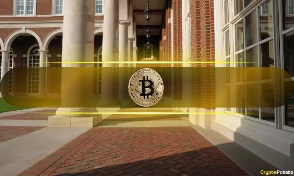The Stanford Blyth Fund’s Bitcoin Investment Strategy