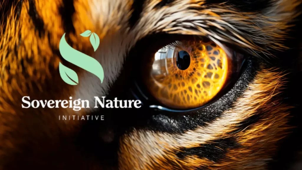 The Impact of DOTphin: Promoting Environmental Sustainability on the Polkadot Blockchain