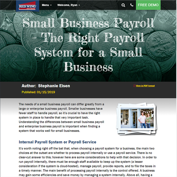 Red Wing Software Corporate Website Ryan Palmer