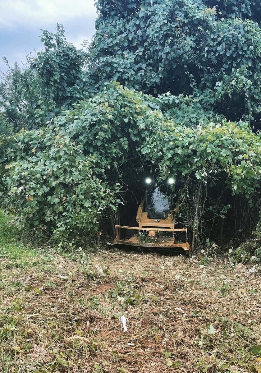 Land Clearing Services Home Demolition Lexington SC