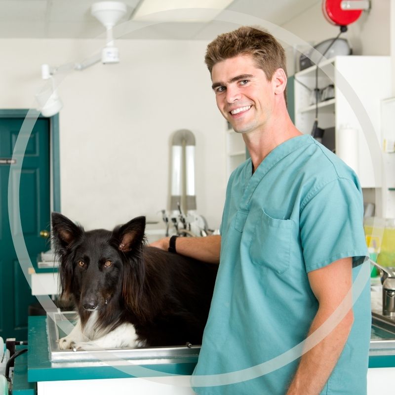 Veterinary Handling, Storage and Disposal of Controlled Substances