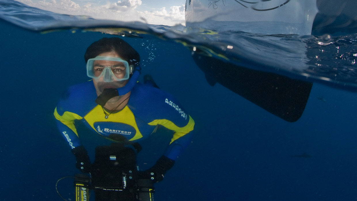Shark research Projects by marine biologist Ryan Johnson