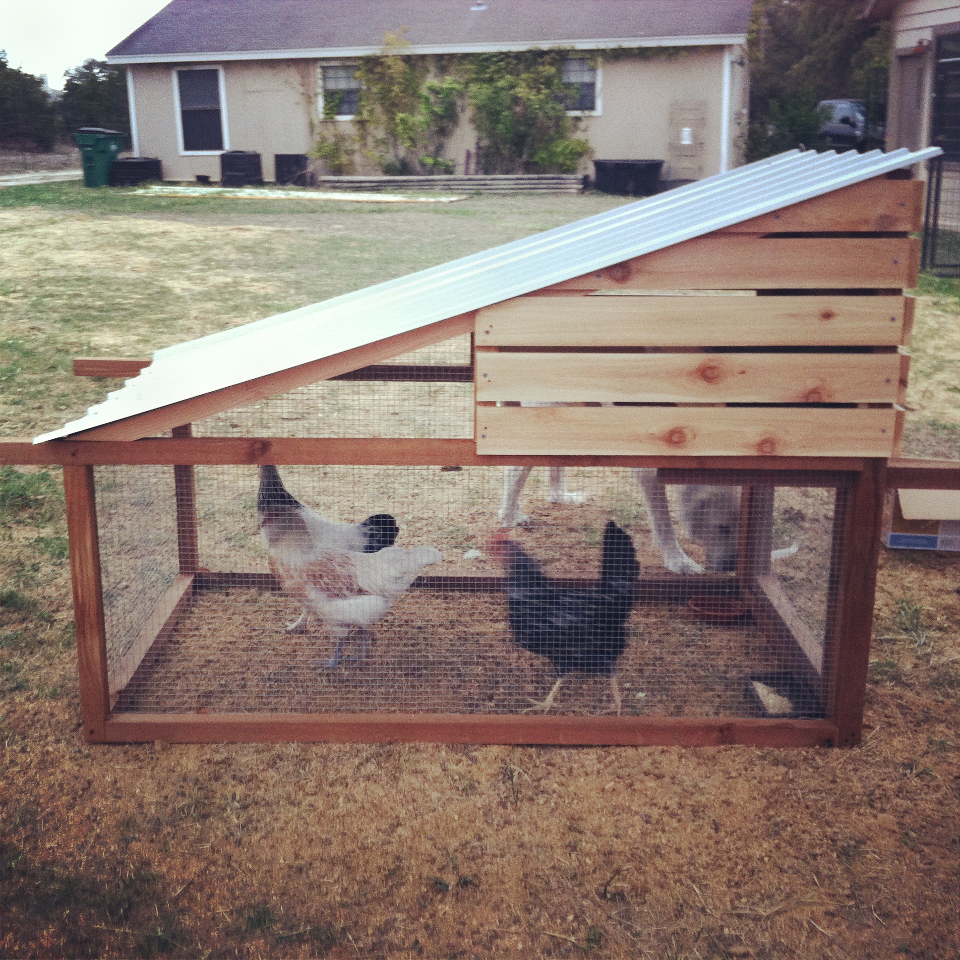 Chicken tortilla soup recipe cooking light quiche, chicken coop design