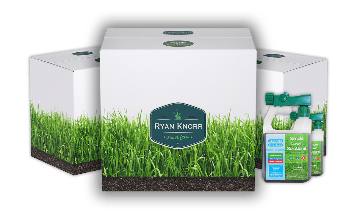Simple Lawn Solutions Detailed Guide Ryan Knorr Care