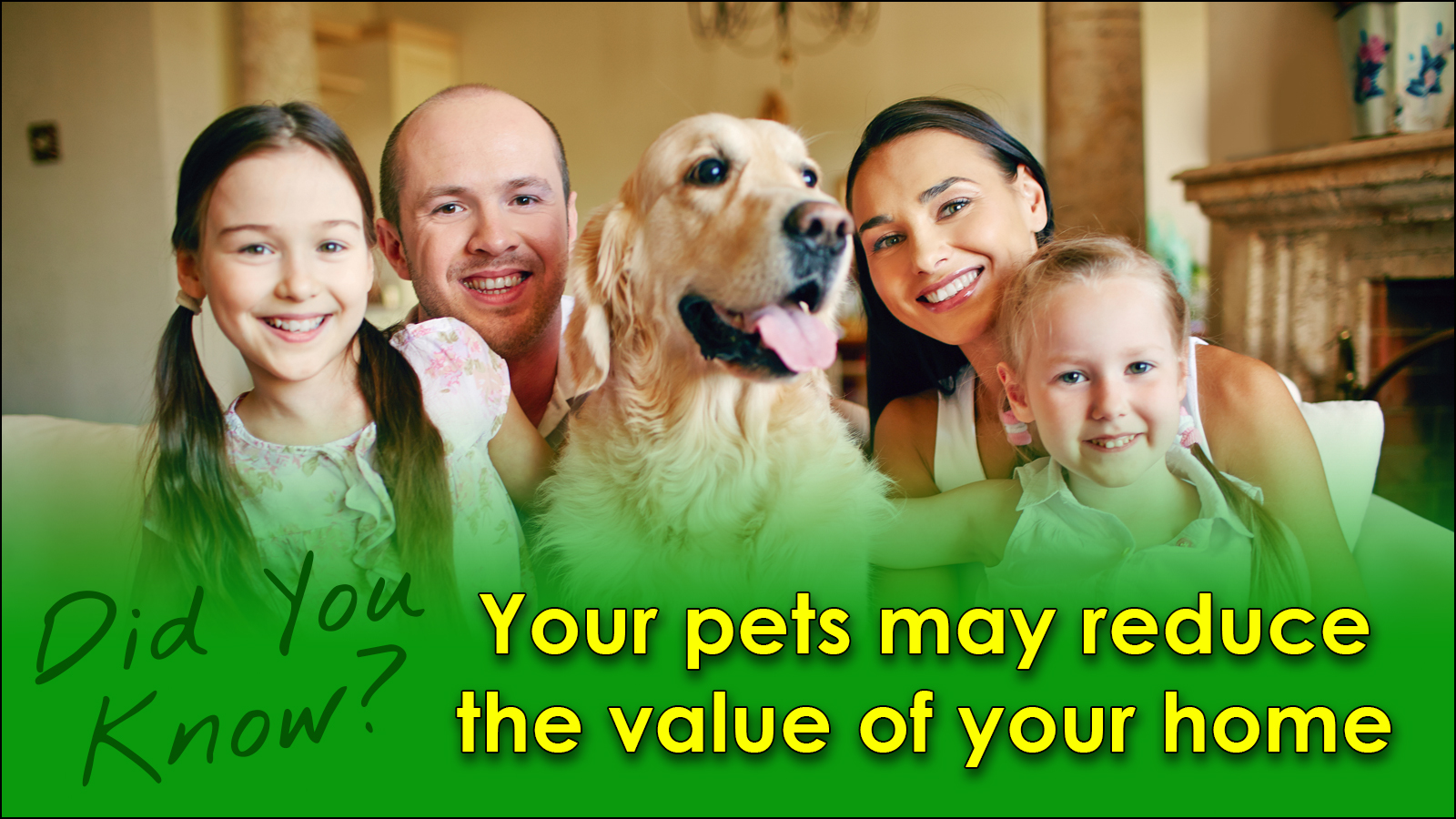 Your pets may reduce the value of your home Ryan Ligeza