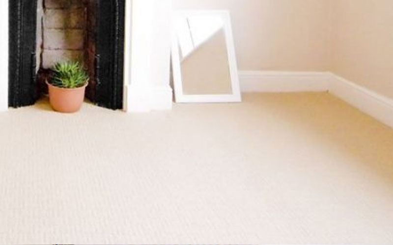 Ryans Carpet Cleaning Wollongong Carpet & Upholstery Cleaning