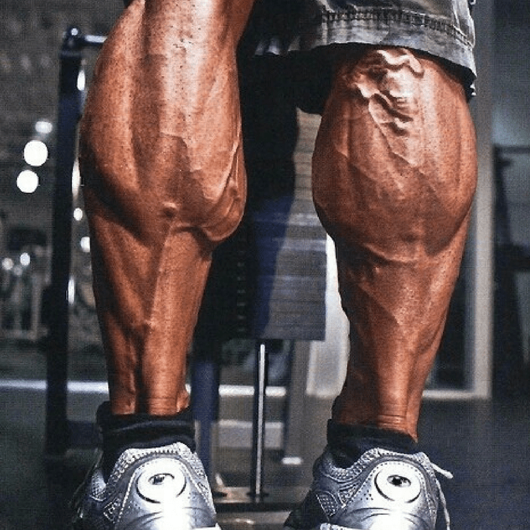 KingSized Calves Moves to Build Bigger, Stronger Calf Muscles Ryan