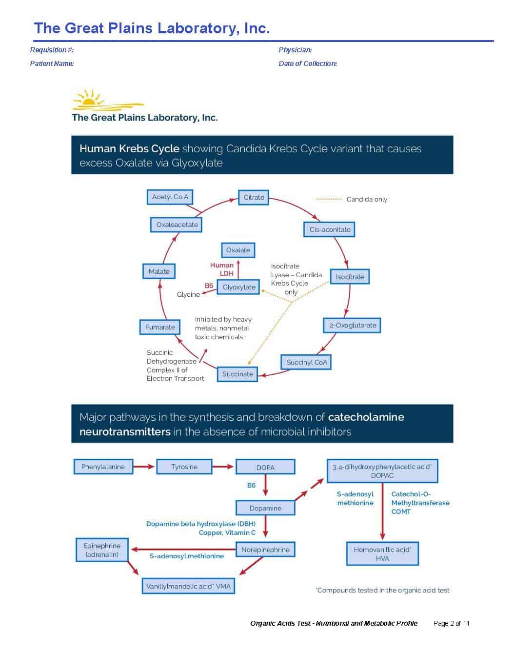 Organic Acids Test (OAT) Great Plains Laboratory Lab Test Order