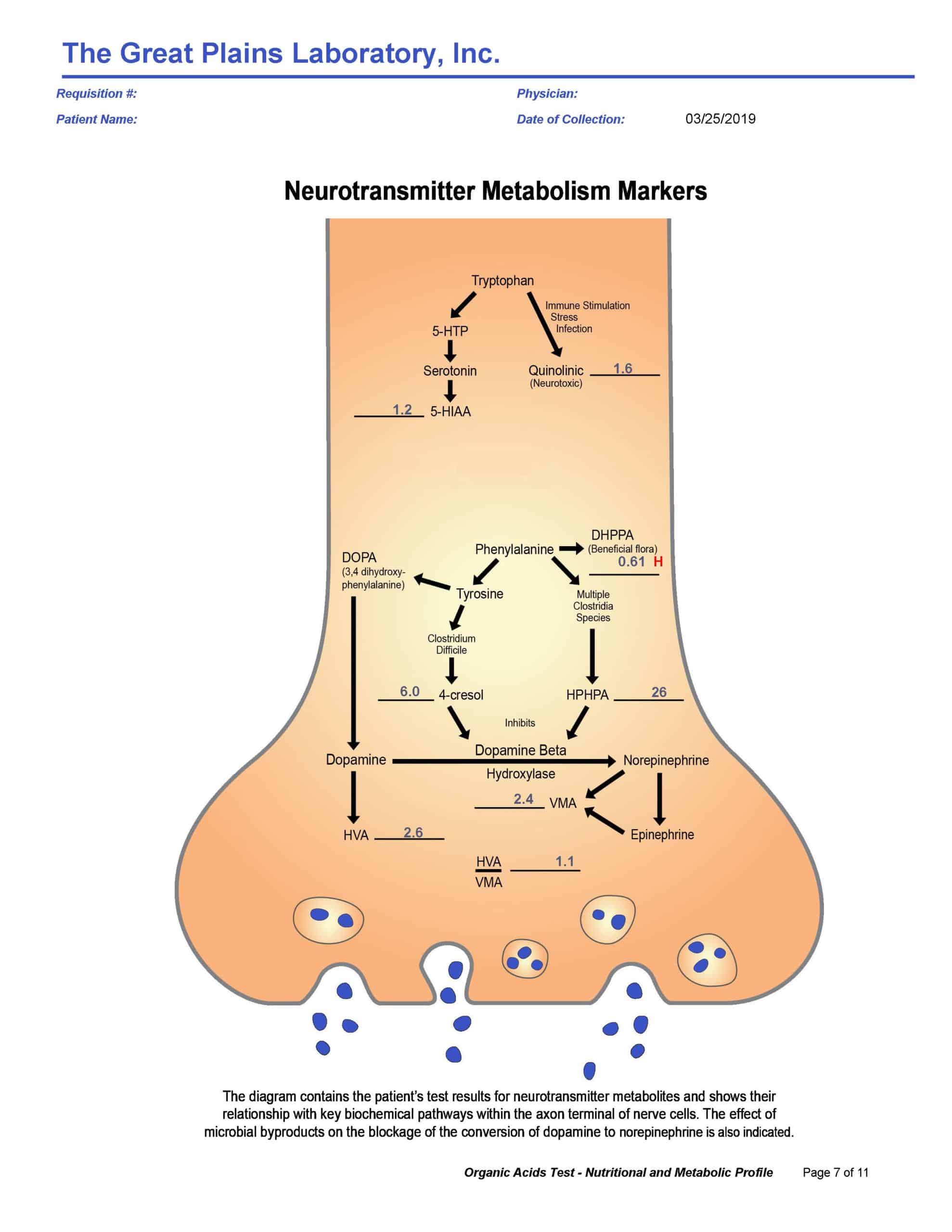 Organic Acids Test (OAT) Great Plains Laboratory Lab Test Order without a Doctor RyDocs