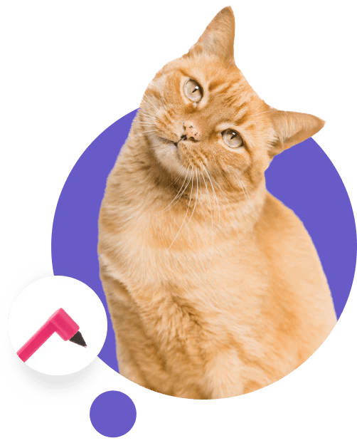 Cat Toothbrush RYERCAT