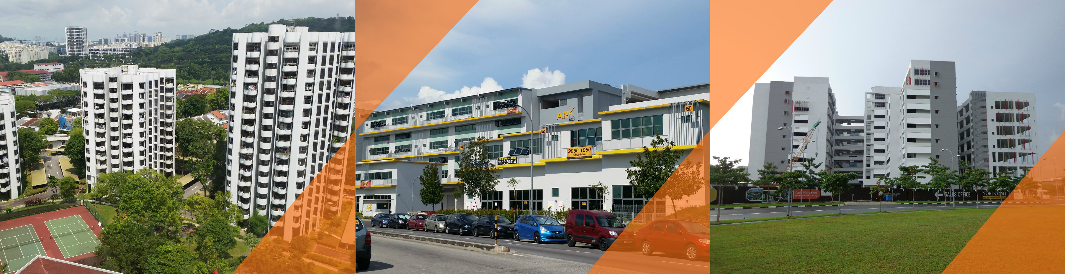 Architectural Paints and Finishes Rynamo