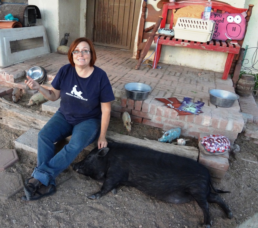 Pigs get no respect in Tucson and beyond with PET PIG PHOTO GALLERY