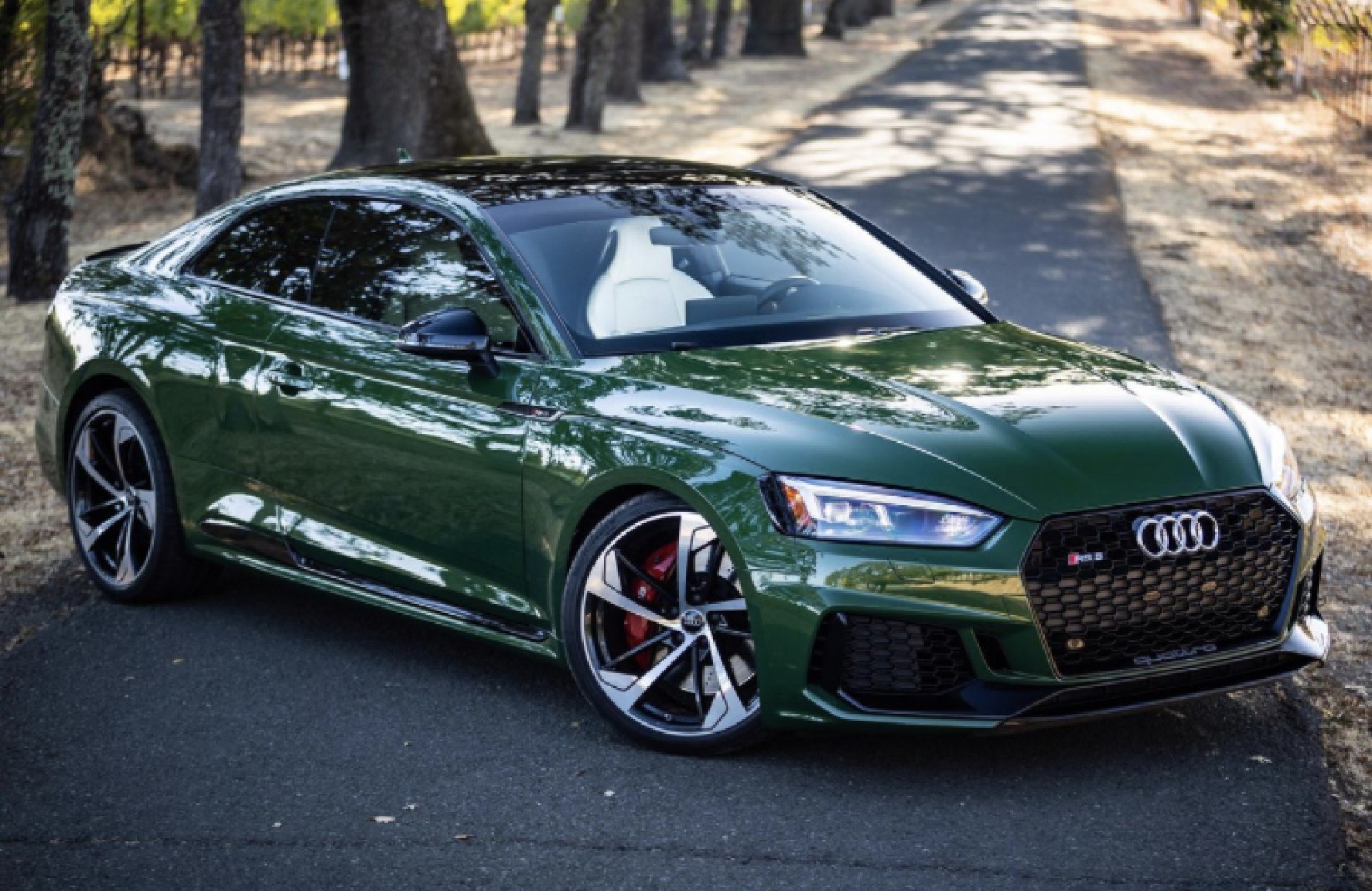 2019 Audi RS5 Coupe Watch Sonoma Green Metallic, Dynamic and Black
