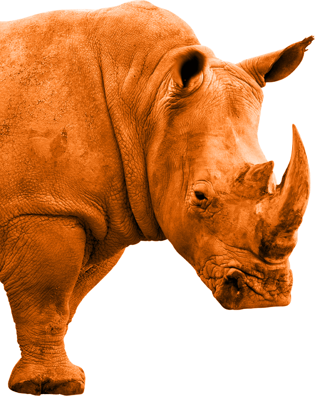 Gaining a 2nd Family RYNO Strategic Solutions Blog