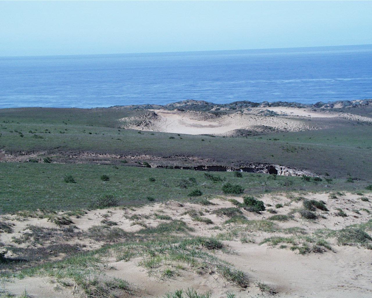 Point Sal Paradise Beach Corralitos Canyon Mussel Rock Santa