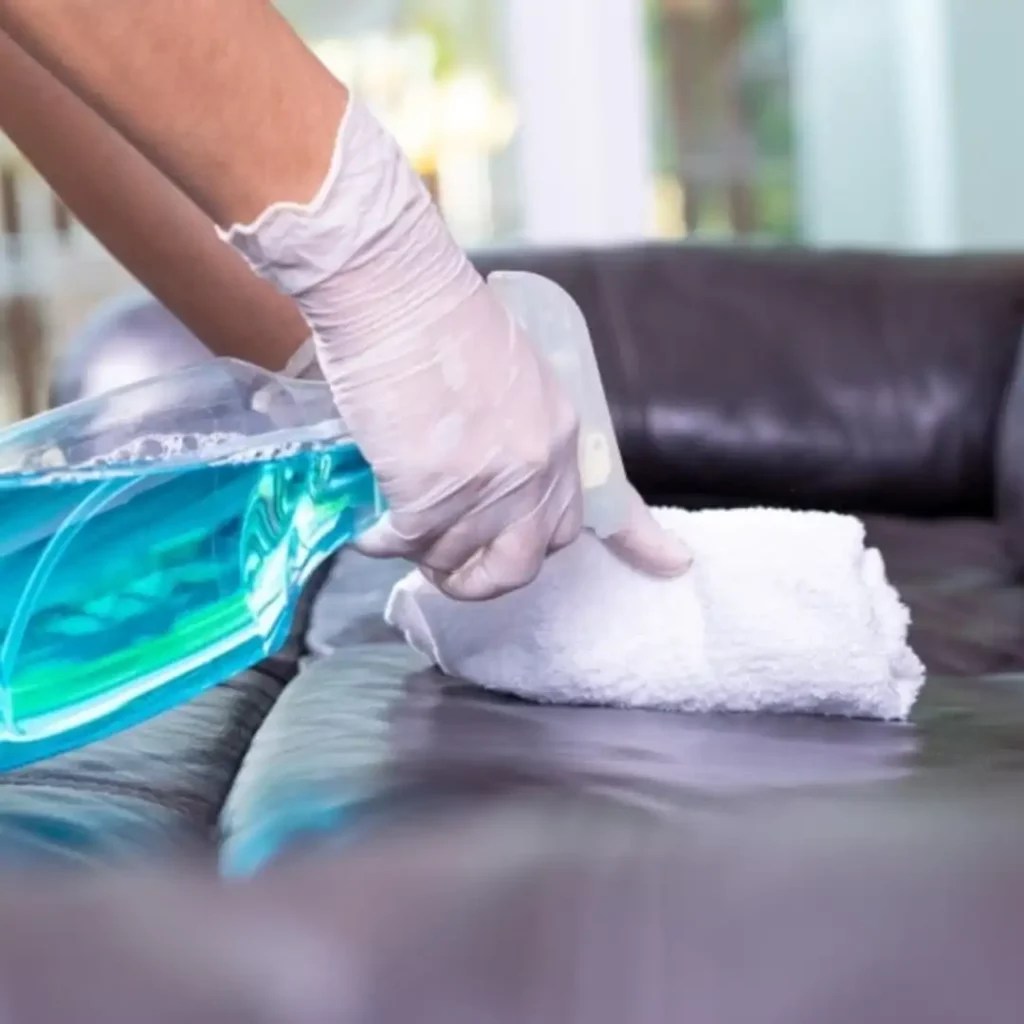 How to Remove Vomit from a Sofa A StepbyStep Guide