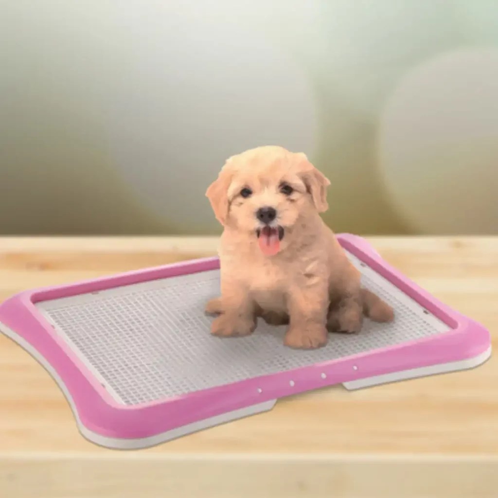Say Goodbye to Dog Pee Stains Ultimate Guide on How to Clean Dog Pee