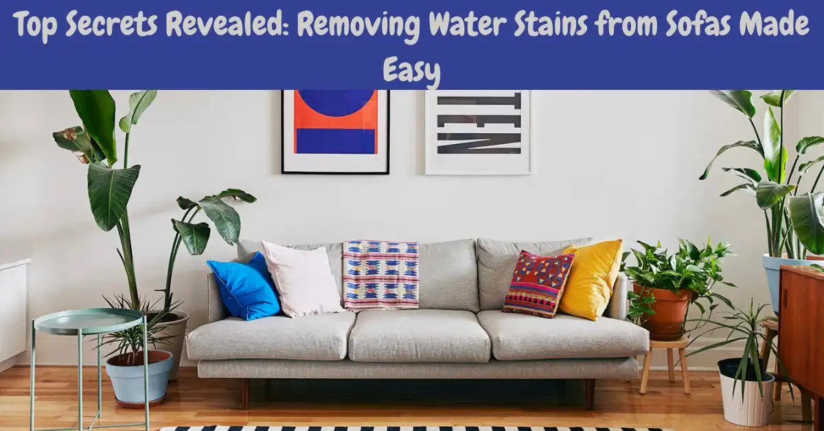Remove Water Stains From a Sofa With These Proven Methods