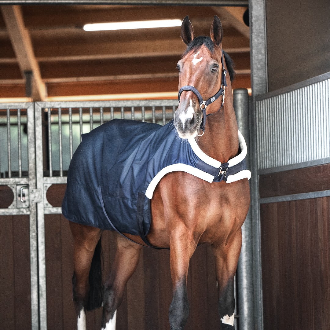 Längre Täcke Busse Walker täcke 50 gram Ryttare och Häst ridsportbutik