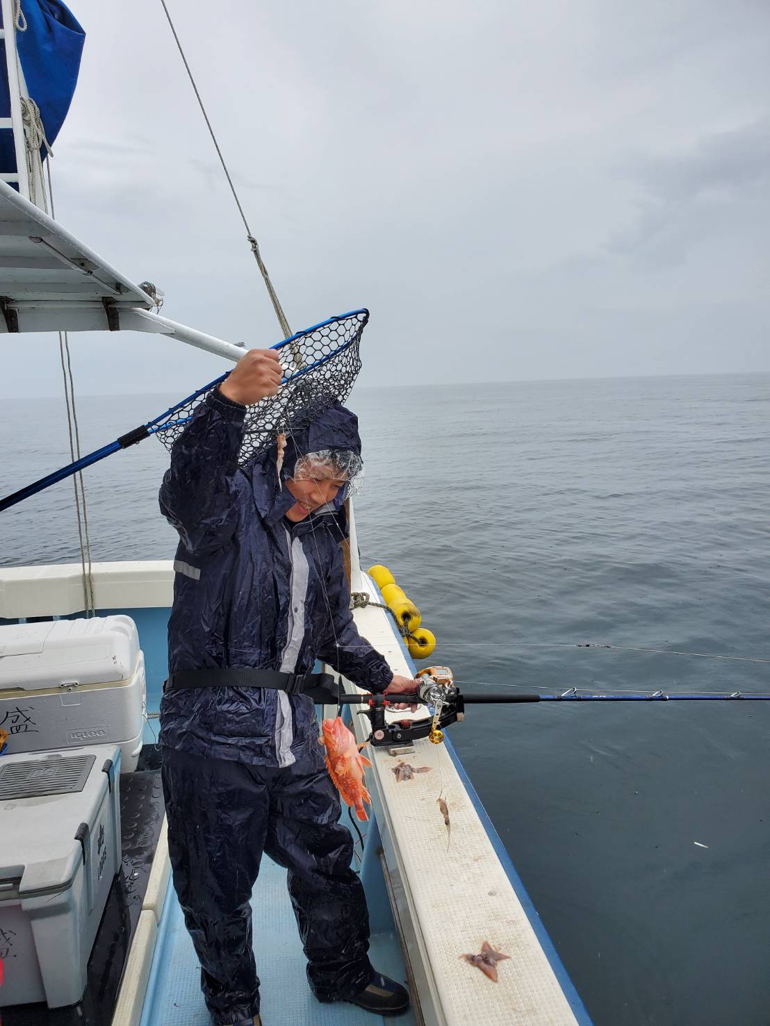 根魚釣りに行ってきました★ 兵庫 香住港 遊漁船 隆盛丸